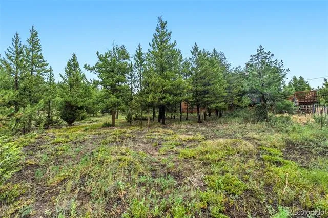 137 B ROAD Silverthorne, CO 80498