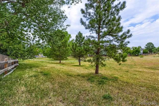 169 Clare Drive Castle Pines, CO 80108