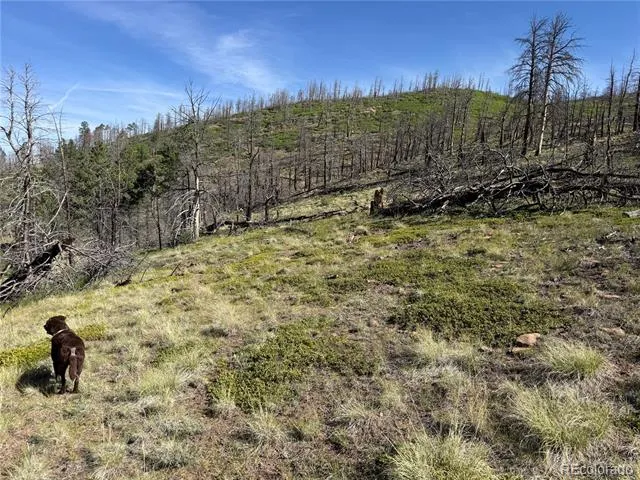 Lot 377 Powers Road Fort Garland, CO 81133