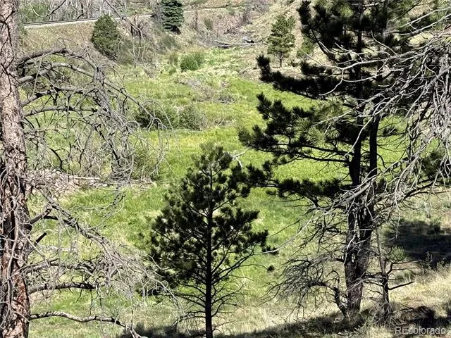 Lot 377 Powers Road Fort Garland, CO 81133
