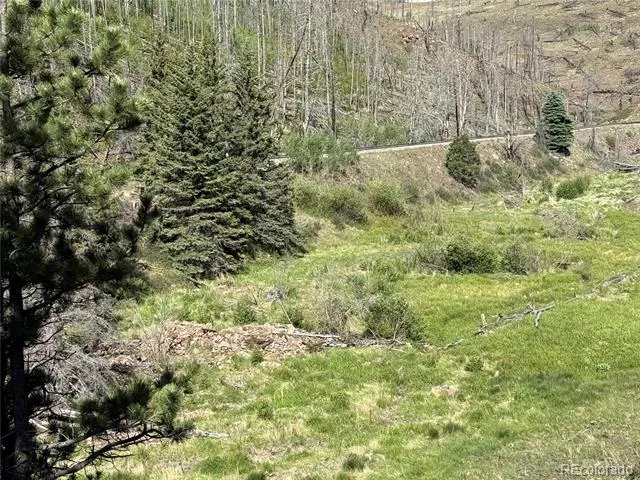 Lot 377 Powers Road Fort Garland, CO 81133