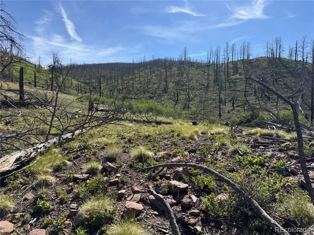 Lot 377 Powers Road Fort Garland, CO 81133