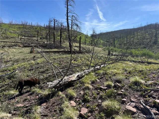 Lot 377 Powers Road Fort Garland, CO 81133