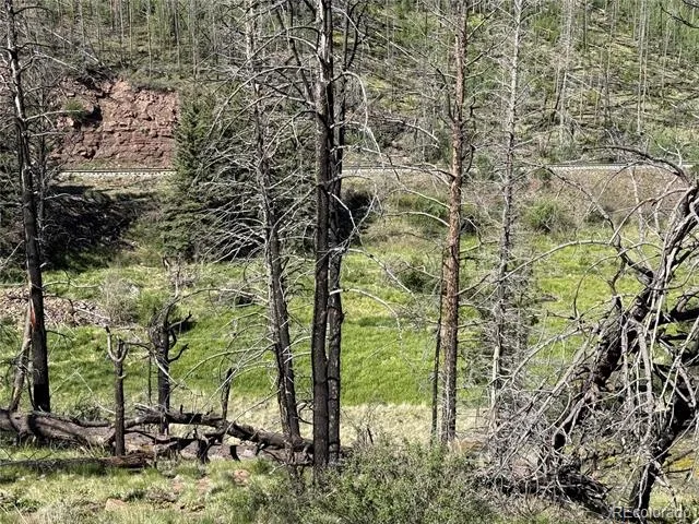 Lot 377 Powers Road Fort Garland, CO 81133