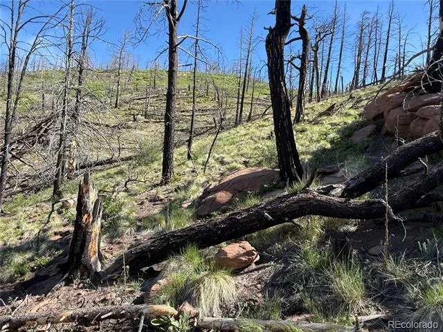 Lot 377 Powers Road Fort Garland, CO 81133