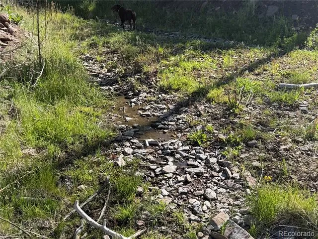 Lot 377 Powers Road Fort Garland, CO 81133