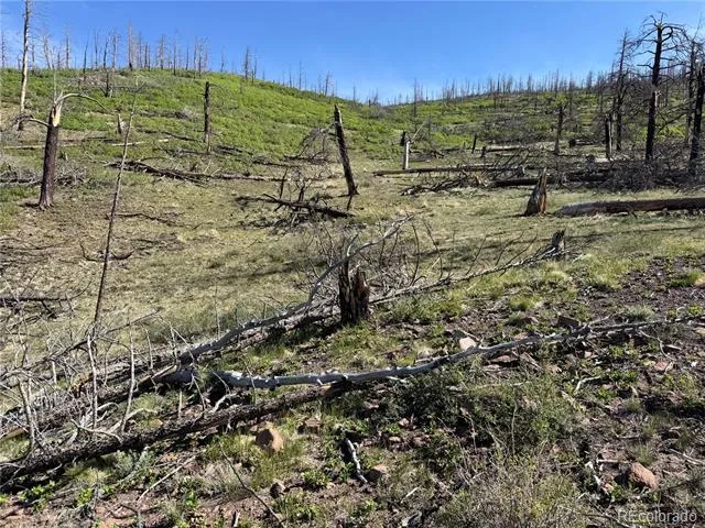 Lot 377 Powers Road Fort Garland, CO 81133