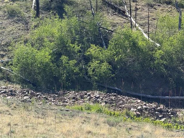 Lot 377 Powers Road Fort Garland, CO 81133