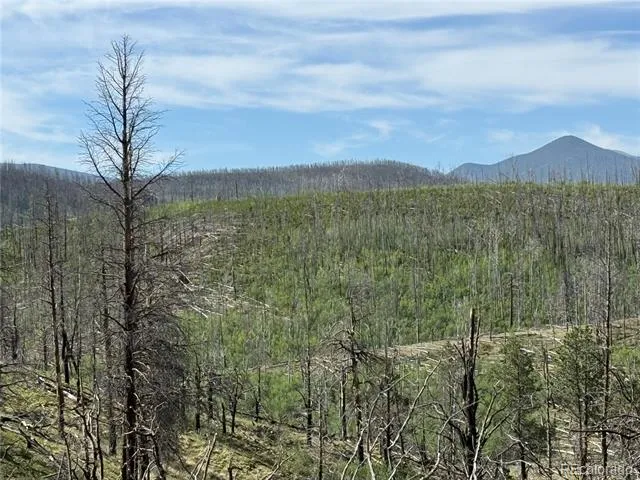 Lot 377 Powers Road Fort Garland, CO 81133