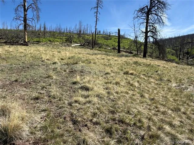 Lot 377 Powers Road Fort Garland, CO 81133