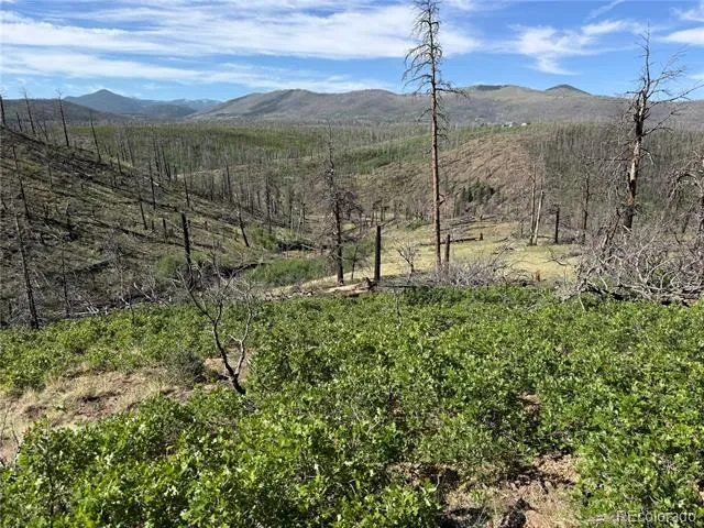 Lot 377 Powers Road Fort Garland, CO 81133