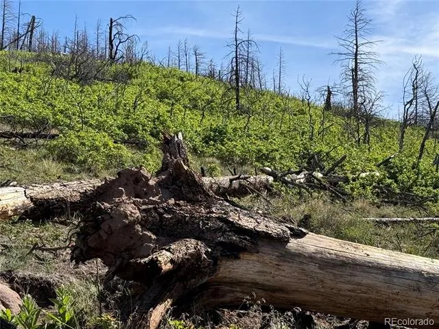 Lot 377 Powers Road Fort Garland, CO 81133