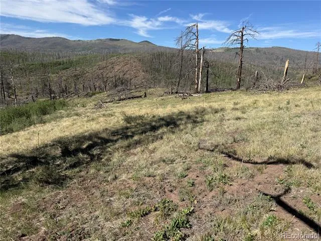 Lot 377 Powers Road Fort Garland, CO 81133