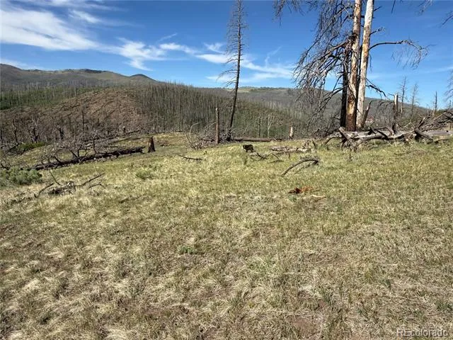 Lot 377 Powers Road Fort Garland, CO 81133