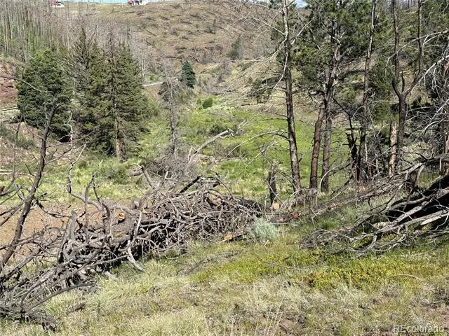 Lot 377 Powers Road Fort Garland, CO 81133