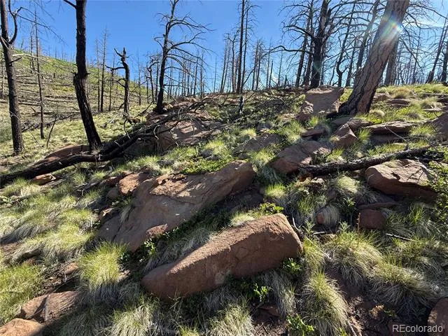 Lot 377 Powers Road Fort Garland, CO 81133