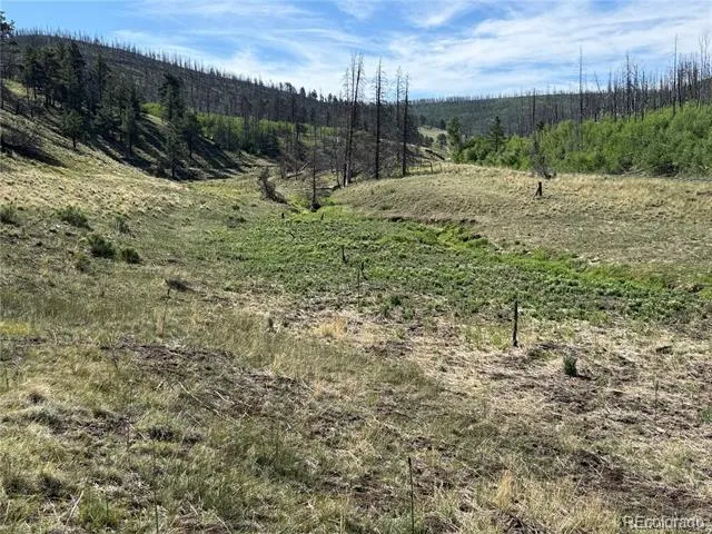 Lot 377 Powers Road Fort Garland, CO 81133