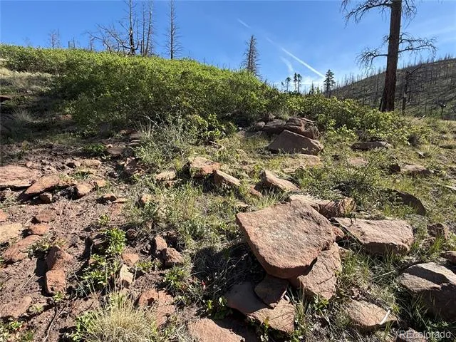 Lot 377 Powers Road Fort Garland, CO 81133