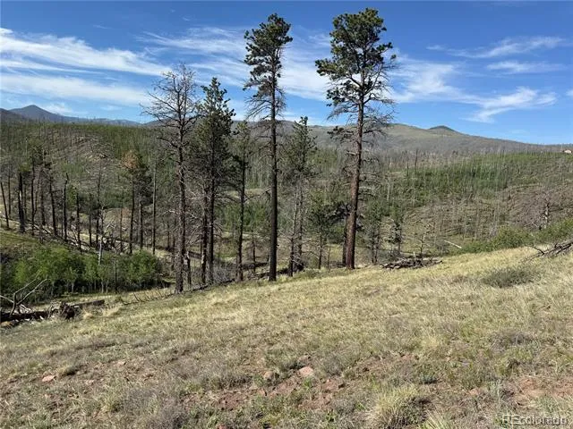 Lot 377 Powers Road Fort Garland, CO 81133