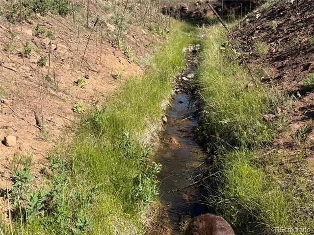Lot 377 Powers Road Fort Garland, CO 81133
