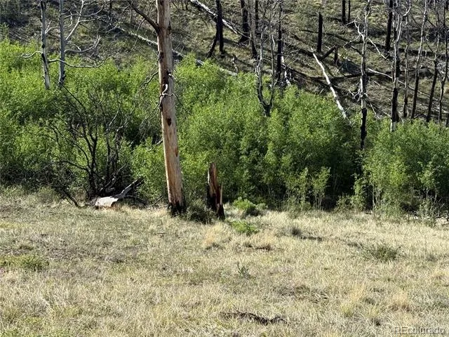 Lot 377 Powers Road Fort Garland, CO 81133