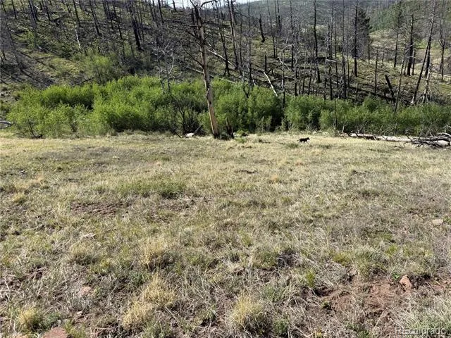 Lot 377 Powers Road Fort Garland, CO 81133