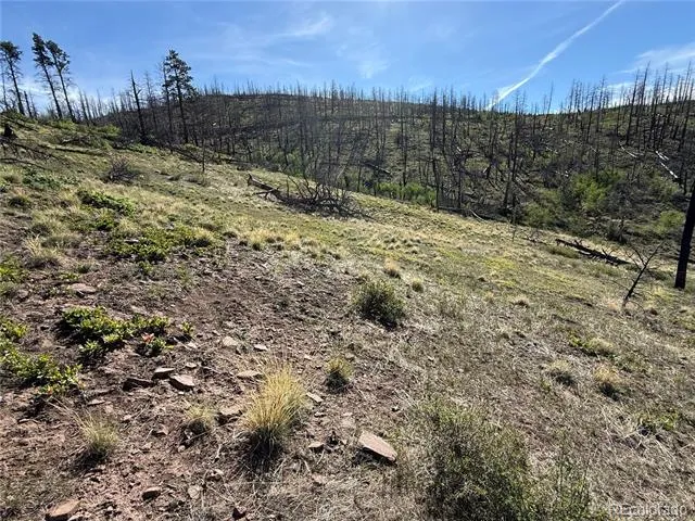 Lot 377 Powers Road Fort Garland, CO 81133