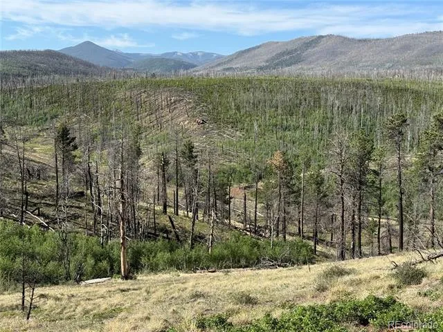 Lot 377 Powers Road Fort Garland, CO 81133