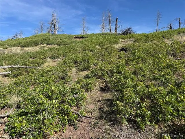 Lot 377 Powers Road Fort Garland, CO 81133