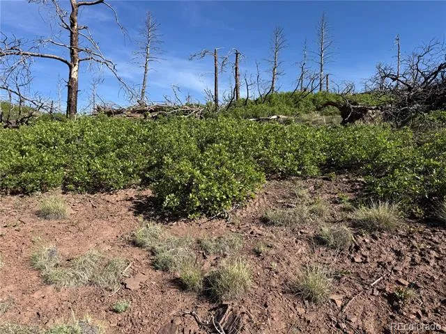 Lot 377 Powers Road Fort Garland, CO 81133