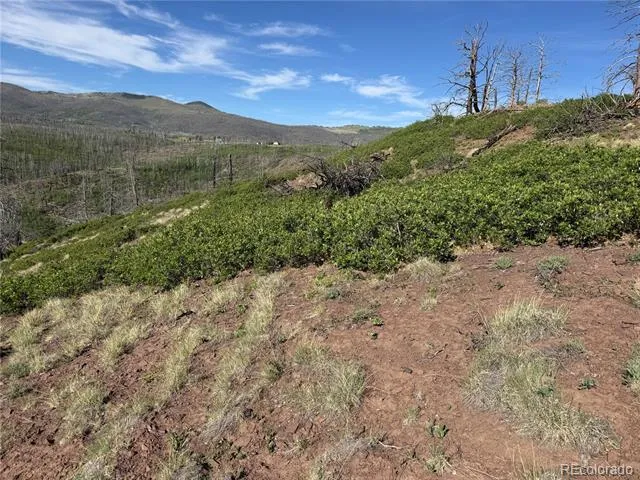 Lot 377 Powers Road Fort Garland, CO 81133