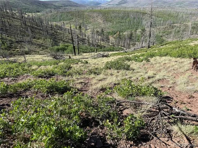Lot 377 Powers Road Fort Garland, CO 81133