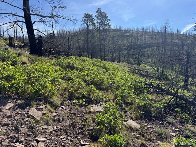 Lot 377 Powers Road Fort Garland, CO 81133