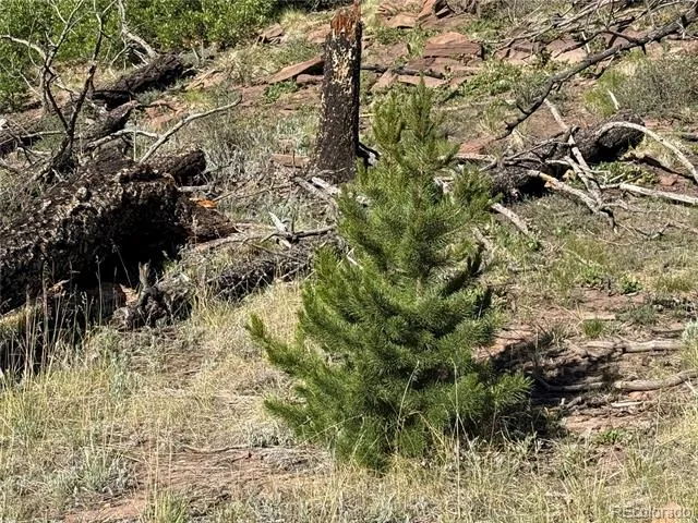 Lot 377 Powers Road Fort Garland, CO 81133