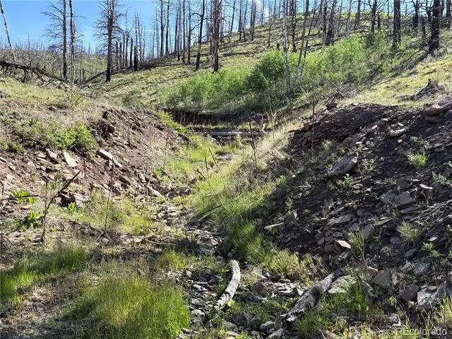 Lot 377 Powers Road Fort Garland, CO 81133