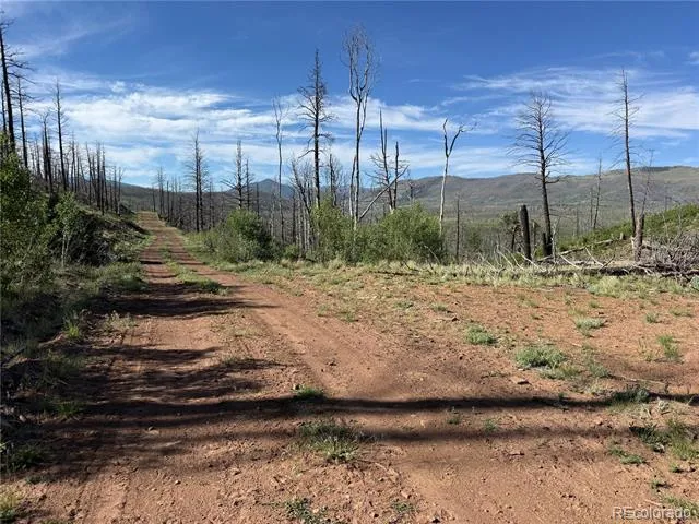 Lot 377 Powers Road Fort Garland, CO 81133