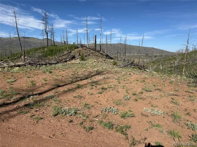 Lot 377 Powers Road Fort Garland, CO 81133