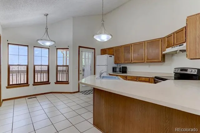 16775 Blue Mist Circle Parker, CO 80134
