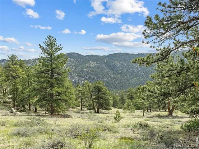 1825 Soul Shine Road Drake, CO 80515