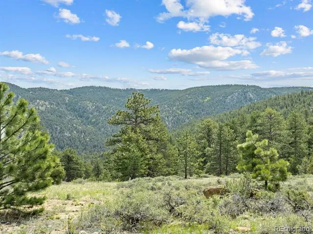 1825 Soul Shine Road Drake, CO 80515