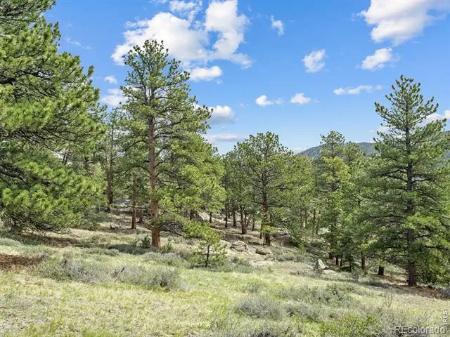 1825 Soul Shine Road Drake, CO 80515