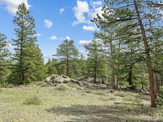 1825 Soul Shine Road Drake, CO 80515
