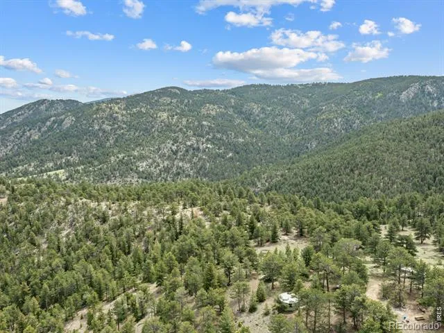1825 Soul Shine Road Drake, CO 80515