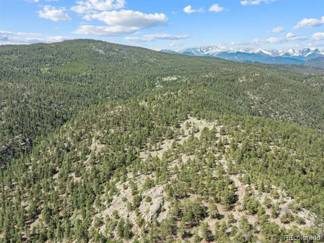 1825 Soul Shine Road Drake, CO 80515