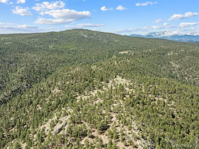 1825 Soul Shine Road Drake, CO 80515