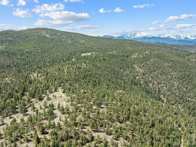 1825 Soul Shine Road Drake, CO 80515