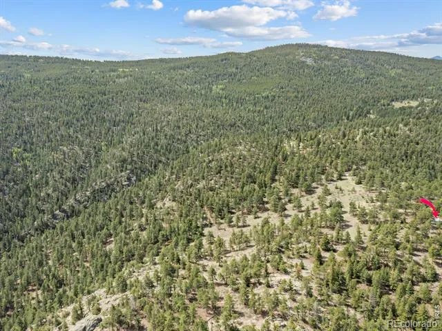1825 Soul Shine Road Drake, CO 80515