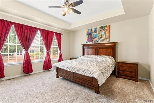 8935 Snowball Way Parker, CO 80134