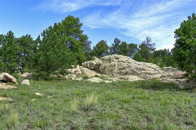 32 Peak Drive Guffey, CO 80820