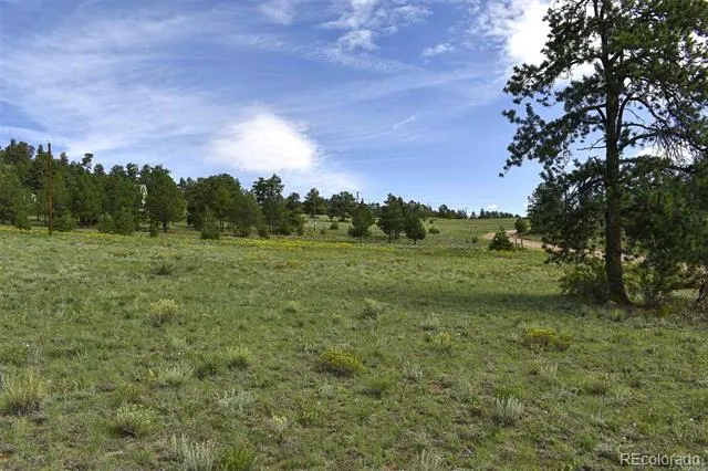 32 Peak Drive Guffey, CO 80820